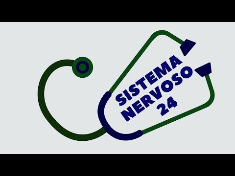SISTEMA NERVOSO 24 - SOMATOSSENSORIAL 1/2