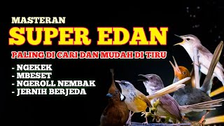 Download lagu Masteran Burung SUPER EDAN 🔥 Ngekek, Mbeset, Ngeroll Nembak – Paling Dicari & Gampang Ditiru! mp3