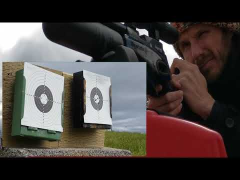 Does a single shot tray provide tighter groupings than using a magazine? Daystate Redwolf 30 M test!