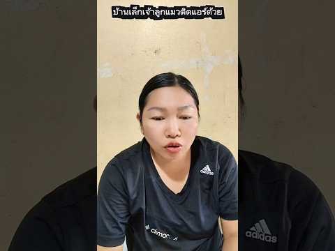 บ้านเล็กเจ้าลูกแมวติดแอร์ #funny #การแสดงเท่านั้น #comedy #บังเอิญเจอ