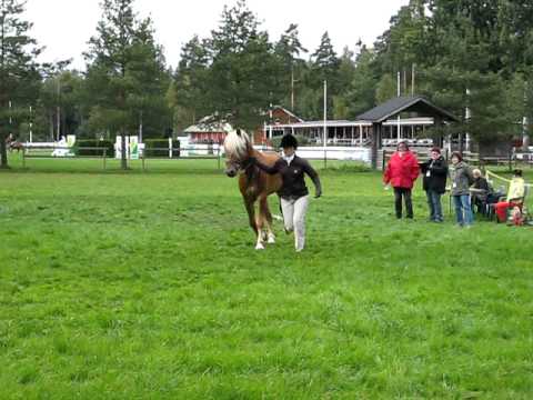 Brilliantti laatuarvostelu 4v. rakenne 4.9.2010 Ypäjä