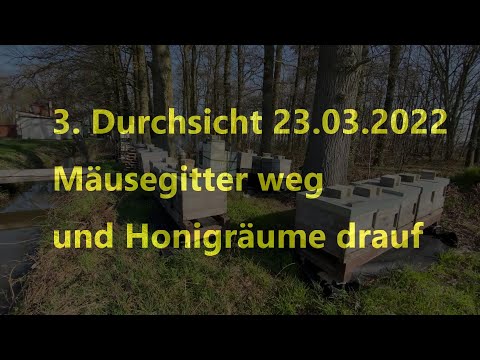 3.  Durchsicht 23.03.2022 Mäusegitter weg und Honigräume drauf. **4K**