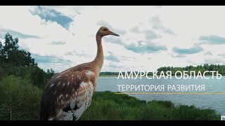 Амурская область за 1 минуту (ВЭФ-2017)