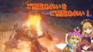 【ELDENRING NIGHTREIGN】紺珠伝組のナイトレイン