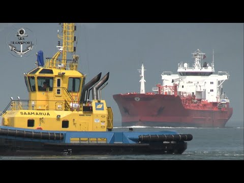 7 BIG SHIPS, 4 BULKCARRIERS, 2 TANKERSHIPS & 1 CONTAINERSHIP #256