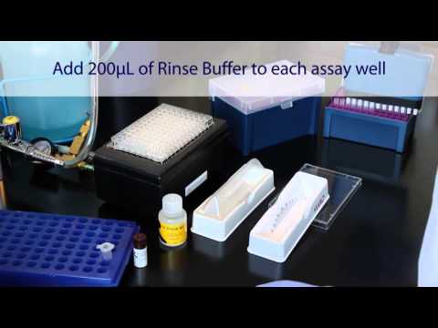 FirePlex® miRSelect Procotol: Step 3 - Reporting