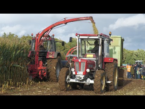 Chopping corn 2025 🌽 | Case IH 1455 XL & Schlüter in power operation with Pöttinger MEX Profi