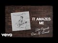 John Pizzarelli - It Amazes Me (Visualizer)