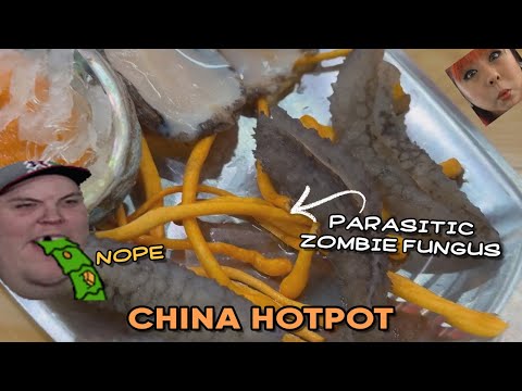 Bulldog would not survive chinese hotpot | AdmiralBulldog Reacts to Dancing Bacons