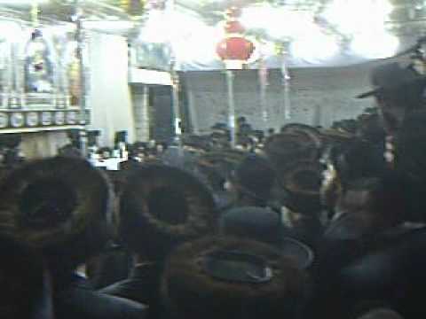 Sukkos in Dushinsky - 5769 (2)