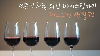 [와인101] 전문가처럼 와인 테이스팅하는 방법 | 레드 와인 | 테이스팅 용어와 순서 | 테이스팅 노트 작성 | 와인의 외관 관찰하기