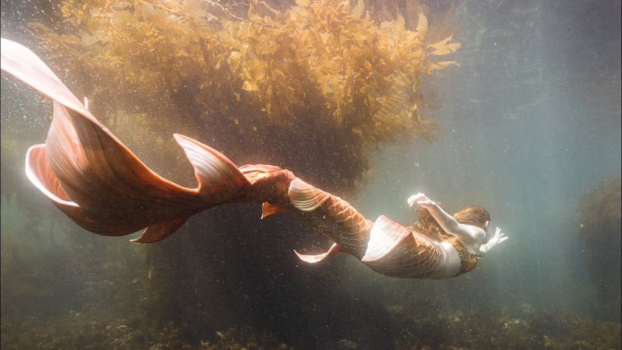 Promotional video thumbnail 2 for Orange County Mermaid