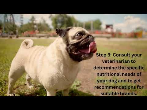 Five Easy Steps to Select The Perfect Dog Food For your Furry Friend