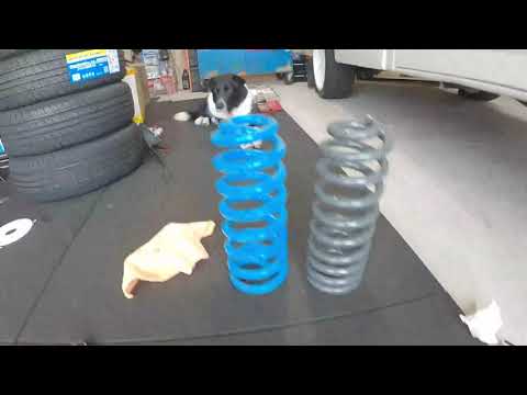 Lowering a 1989 F150 with 2 inch belltech lowering springs