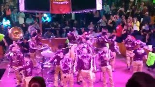 Edwin Luna y La Trakalosa de Monterrey - Como Los Gatos (En Vivo Palenque de La Feria de Las Fresas)