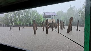 Download lagu Fishing camp hujan deras di spot gubuk tua terbengkalai yang menjadi sarang ikan baramundi mp3