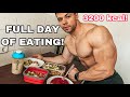 Full day of eating in meiner Diät! 3200Kcal täglich