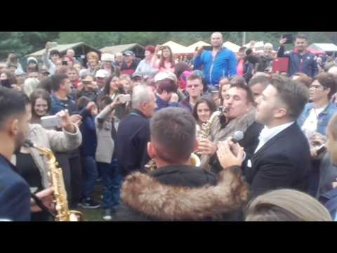 Petrica Nicoară, Armin Nicoară și Fane Bănățeanu