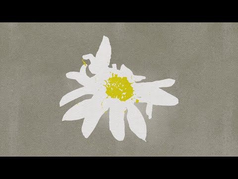 BRUNÊ e Raíssa Spada - malmequer (Lyric Video Oficial)