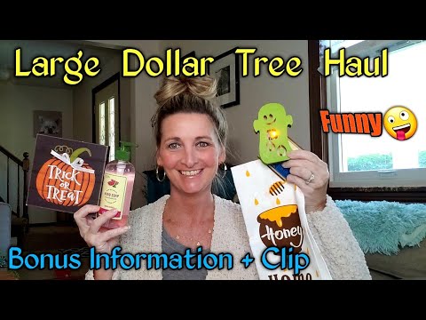Large Dollar Tree Haul  Ideas  Funny  BONUS~Aug 11 Video