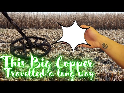 Michigan Metal Detecting| Shocked By An Unexpected Huge Copper In The Middle Of  A Corn Field