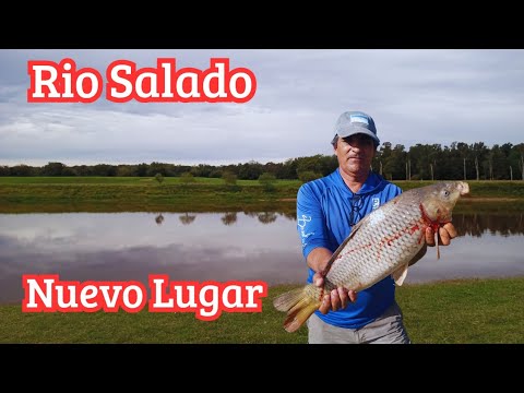 Pesca y Cocina en Gral. Belgrano/nuevo lugar gratuito/info como llegar.