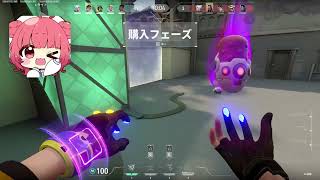 夢野あかり「ショウダウン破壊するために———」【2026/03/10】