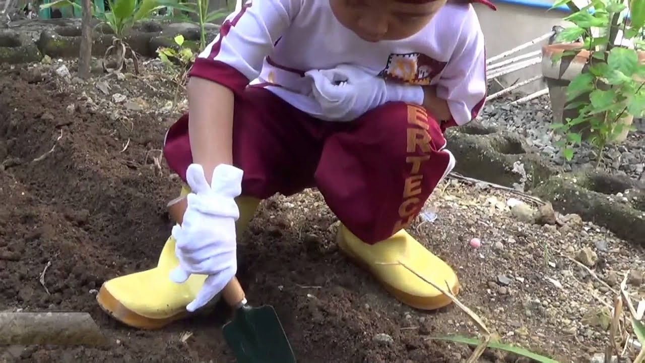 Learning Endeavors 2014