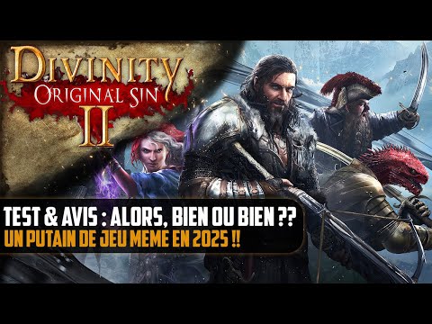 Test & Review: So, GOOD or GOOD?? A damn game even in 2025 [Divinity Original Sin 2]