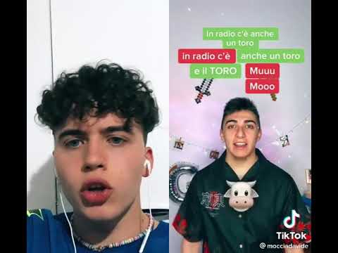 Tiktok di Davide Moccia 😂❤️