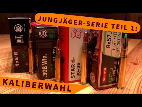 Jungjäger-Serie Teil 1: Die Auswahl des richtigen Kalibers für die Jagd