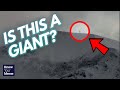 Man Goes Viral After Posting Video of an Alleged Giant In Canada