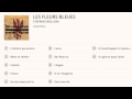 Stefano Bollani - Les fleurs bleues