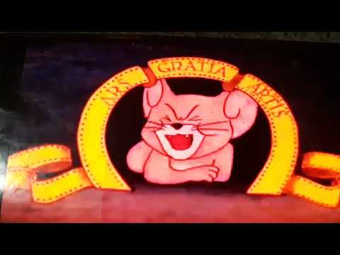 Woody Woodpecker Switchin Kitten