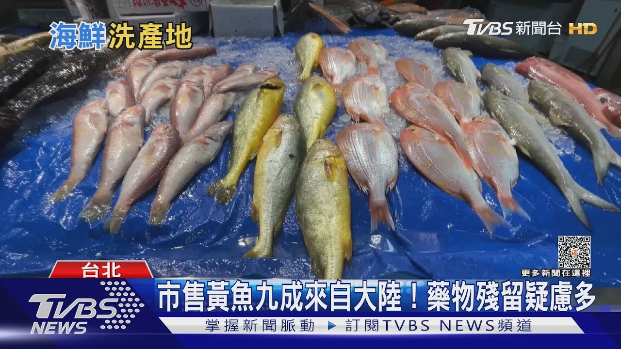 餐桌上黃魚哪來的? 市售黃魚九成大陸進口藥殘疑慮多!