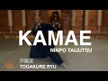 Togakure Ryu Ninpo Taijutsu Kamae