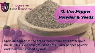 Some Natural Way To Get Rid Of  Ants