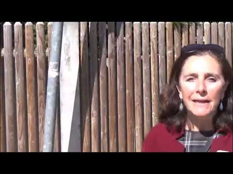 Auf den Spuren Oberföhrings