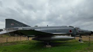 メタセコイア並木2023