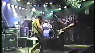 Blur Commercial Break Live Rocklife