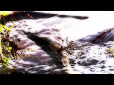 *WEF* Helgeland 8-bit Squad ft. Sarah Winton & I-lodica - Swimming Bird (Dubbhism Deluxe)