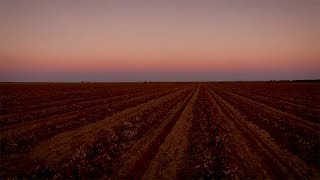 How Mars is Taking Action on Climate (and How Your Company Can, Too!)