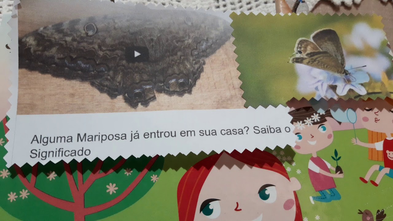 #👉Alguma Mariposa já entrou em sua casa? Saiba o significado...