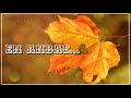 Oorai Sutri Paarthaalum Tamli WhatsApp Status Srn Creation