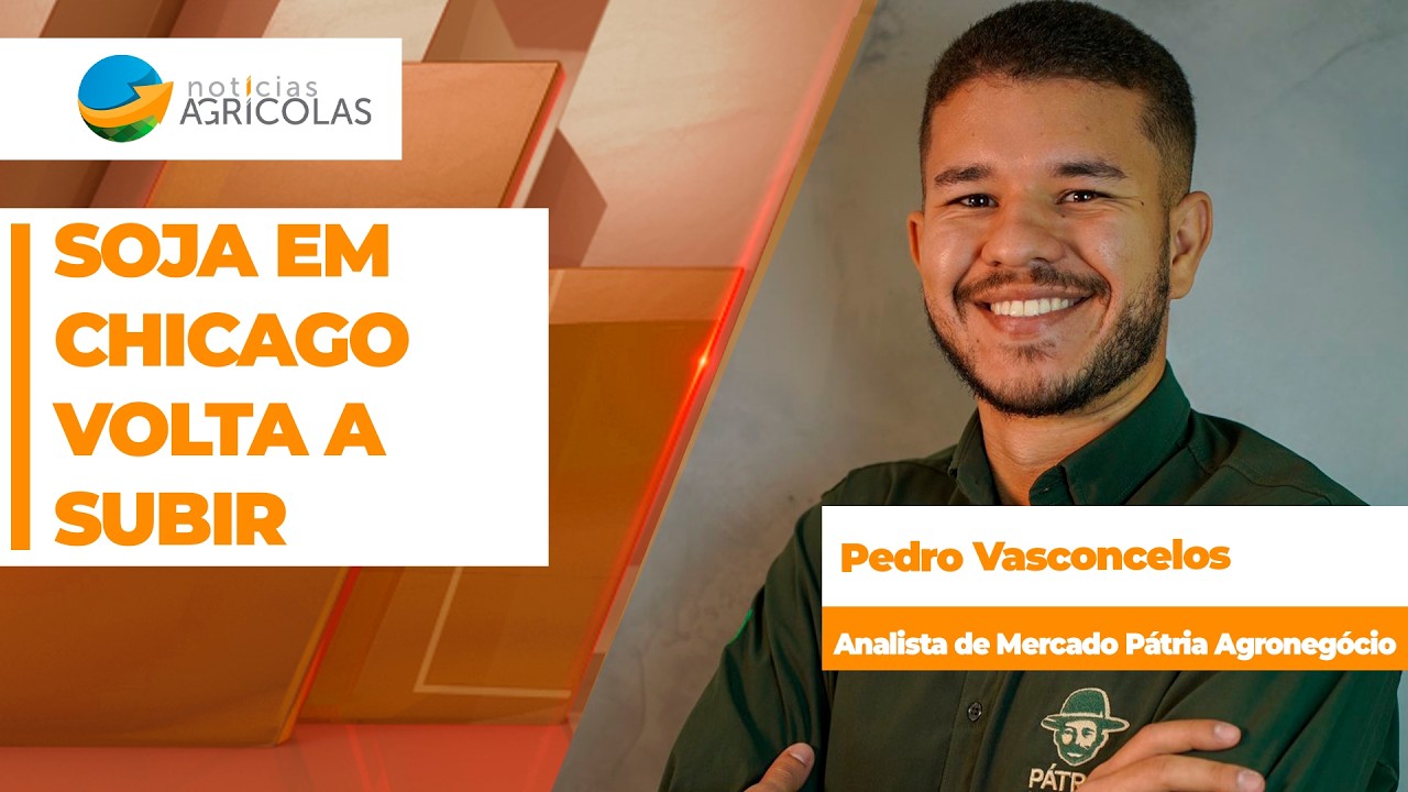Soja volta a subir em Chicago e, com prêmios fortes no Brasil, preços seguem próximos dos R$ 150...