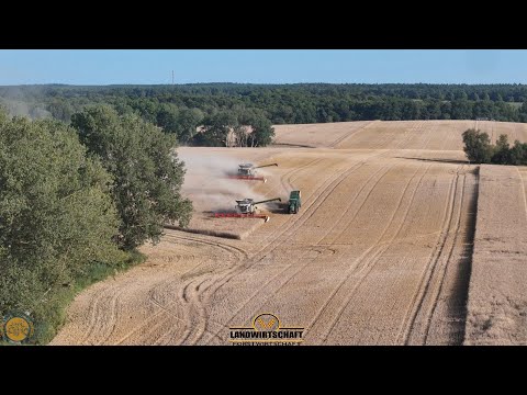 KRASSE ERNTE! Zwei Claas Lexion 8800 machen die erste Fläche in 60 Minuten platt! Roggen Dreschen 
