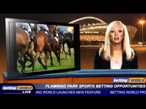 Flamingo Park sports betting opportunities