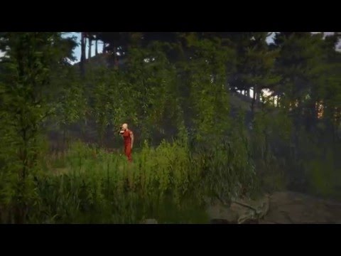 The Ten Ox herding 3D Animations nr.03 : Perceiving the Bull