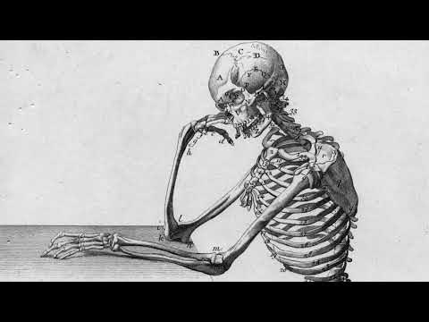 Fosco Maraini, Bottiglie V5