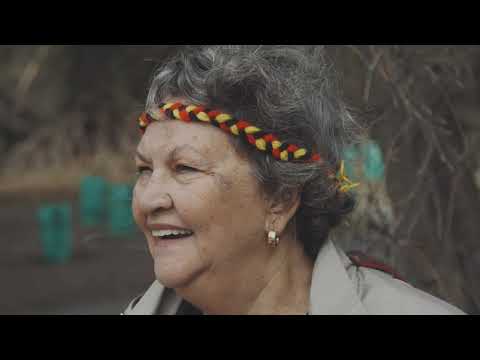 Baigup Biidii - Path to Place of Rushes